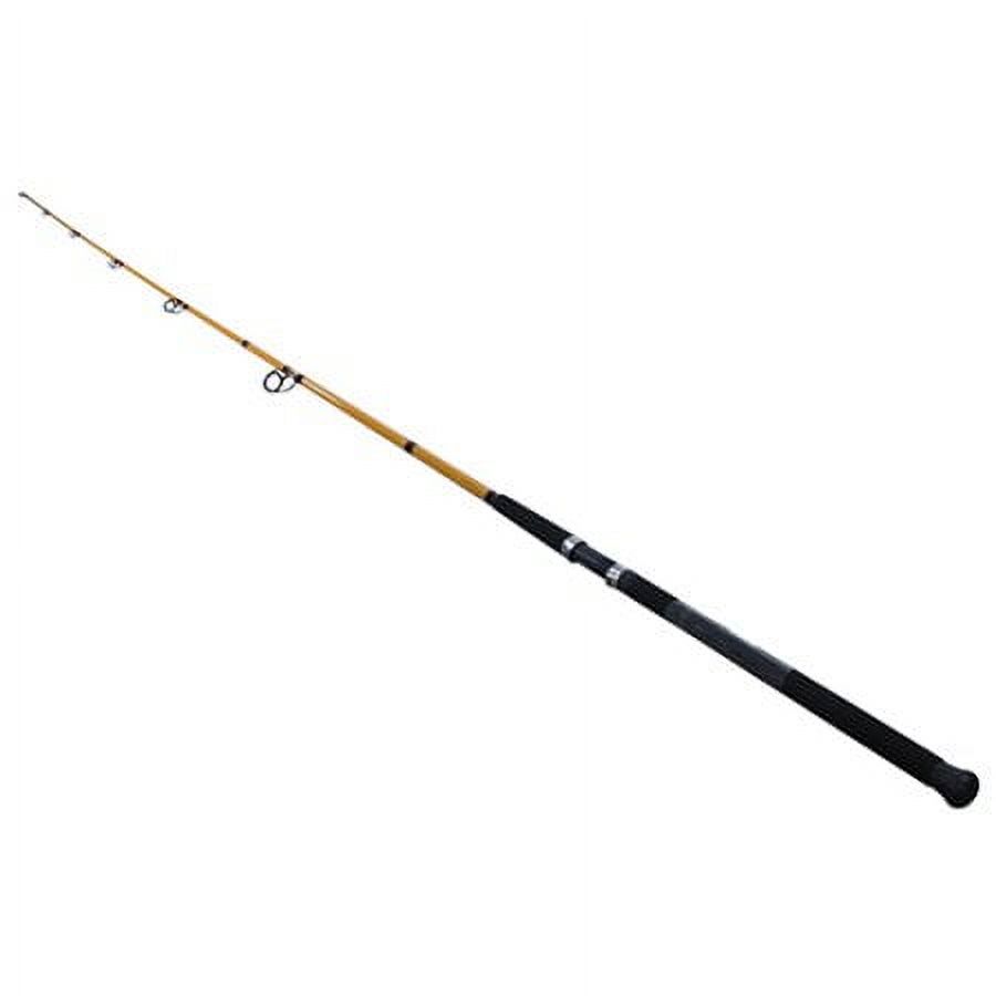 FT Series Fiberglass Surf Spin - Fishing Rod Spinning 리뷰 및 가격